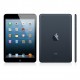 Ipad Mini 16Go 3G Wifi- Noir