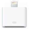 Adaptateur Lightning vers 30 broche